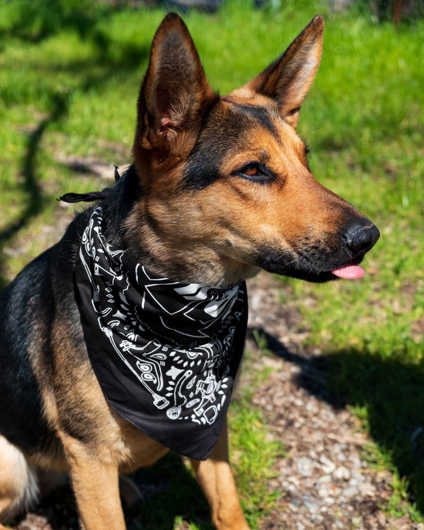 Paul-dune Buggy Bandana