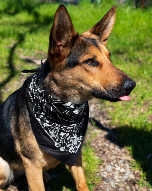 Paul-dune Buggy Bandana