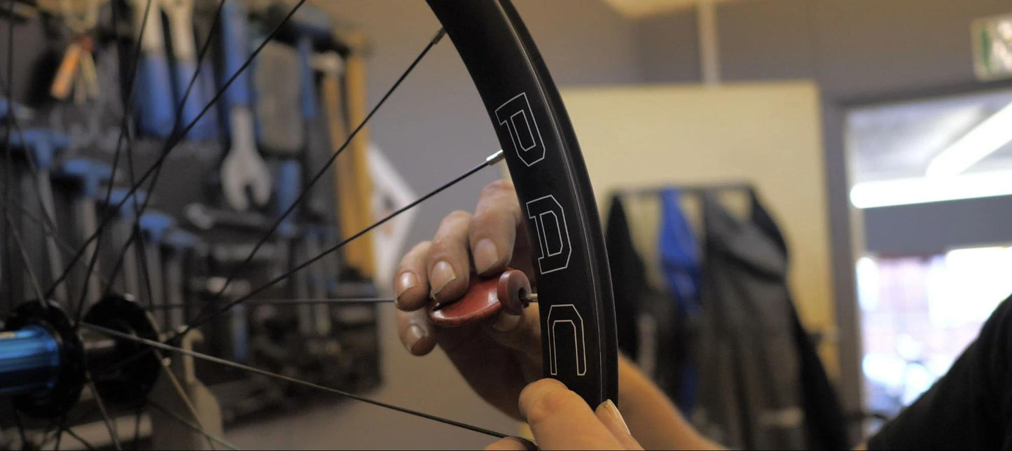 Brevet 700c Wheelset, Rim brake, Shimano