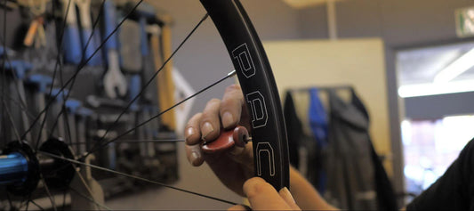 Brevet 700c Wheelset, Rim brake, Shimano